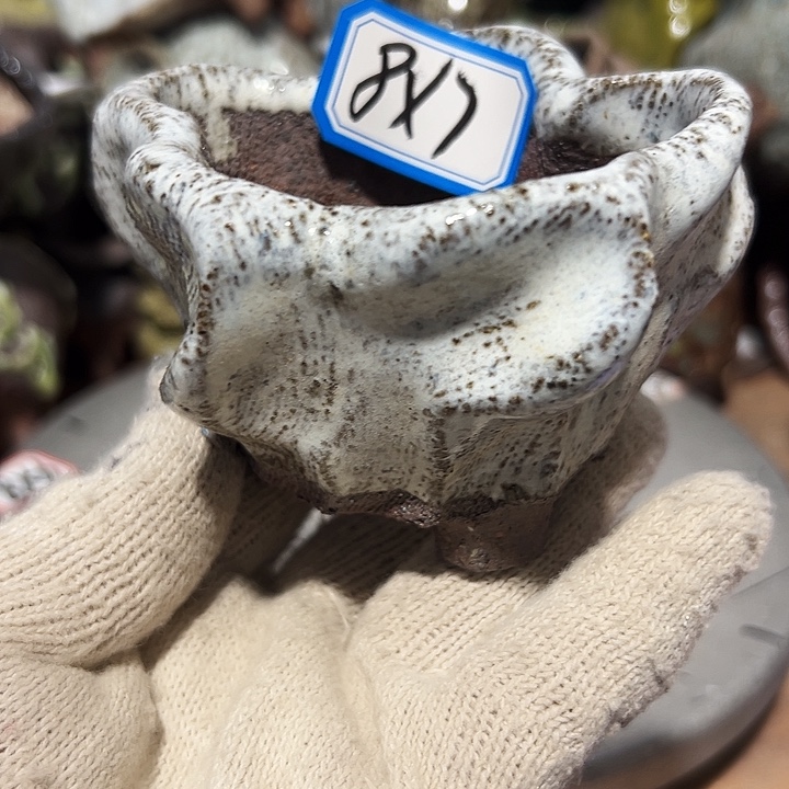 粗陶花盆，现在都不一样了