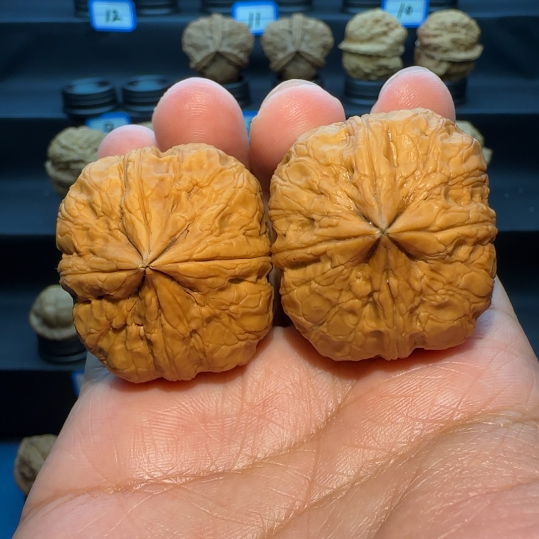 林***.把件桃核四棱核桃