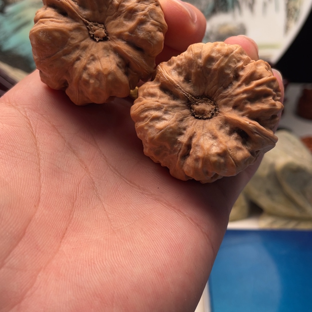 叁***捌核桃蛤蟆头文玩C50