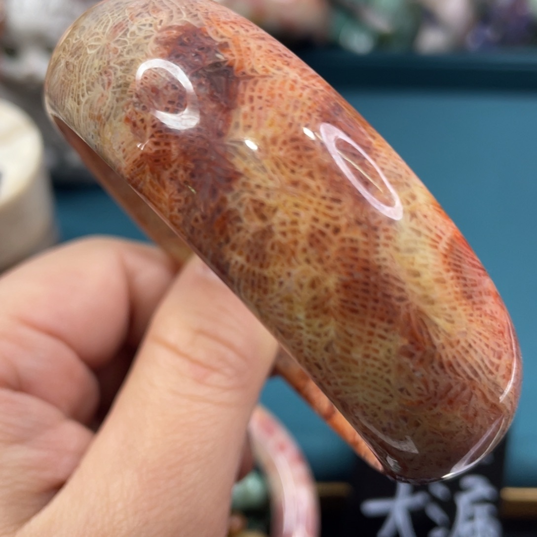 未镶嵌手镯硅化玉