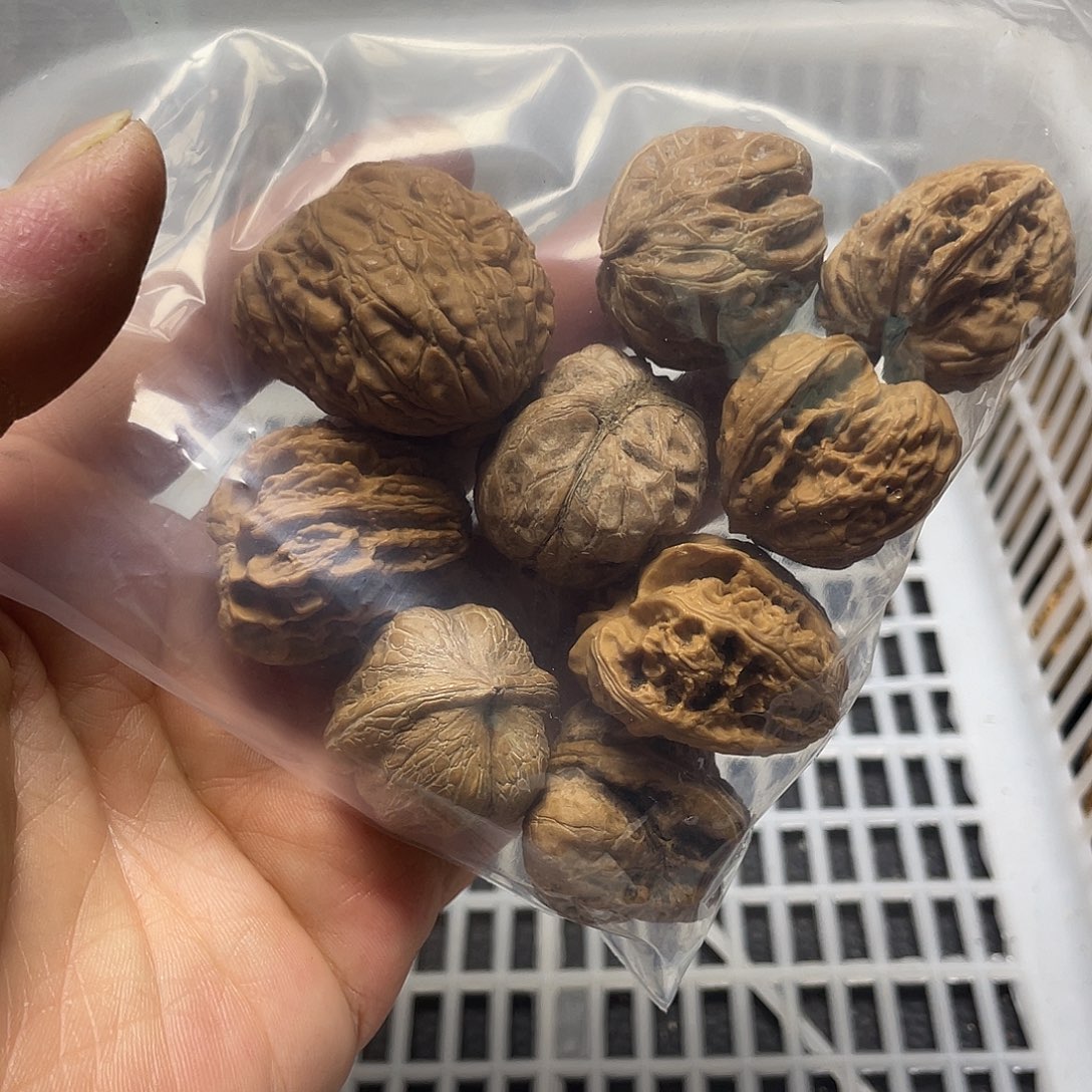 一***·文玩核桃吊坠不退不换