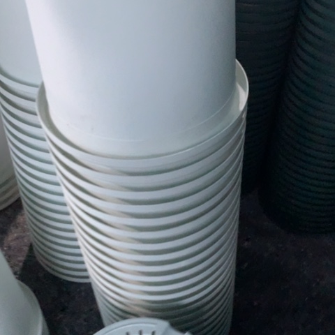 树脂7加奶白无托微瑕3个