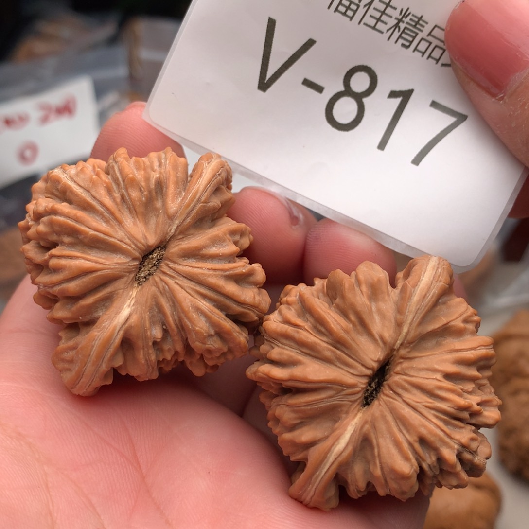 文玩核桃把件44楼mmmmmm