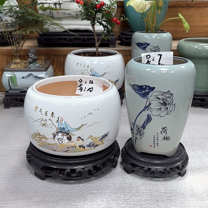 陶瓷花盆紫砂花盆福利抢购