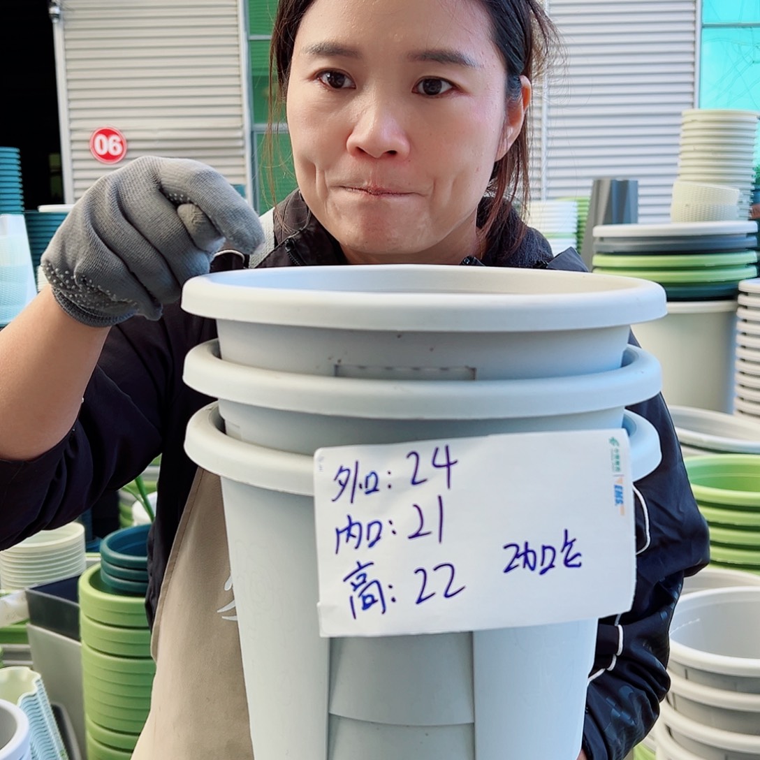 玫瑰240#灰白色5个无托