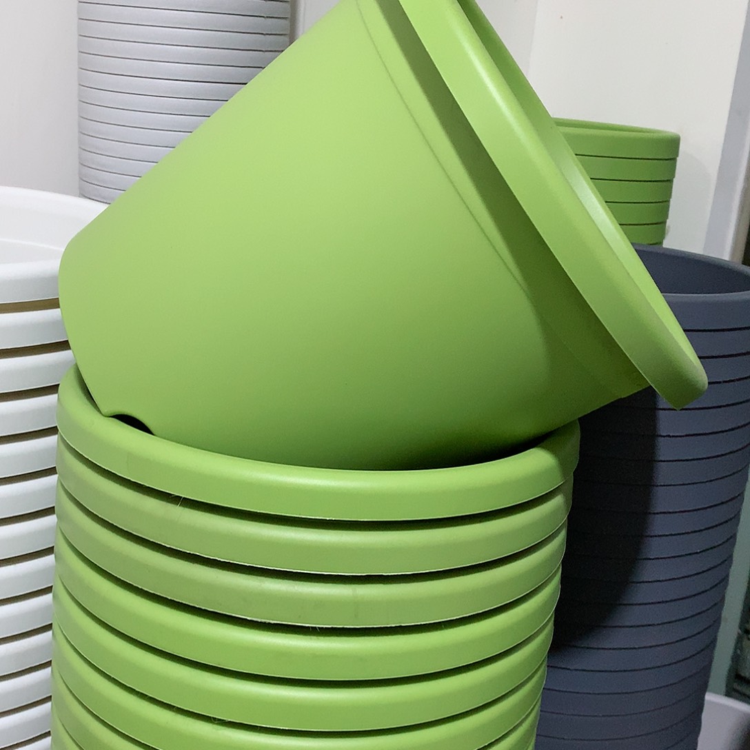 树脂四季口29果绿5个无托