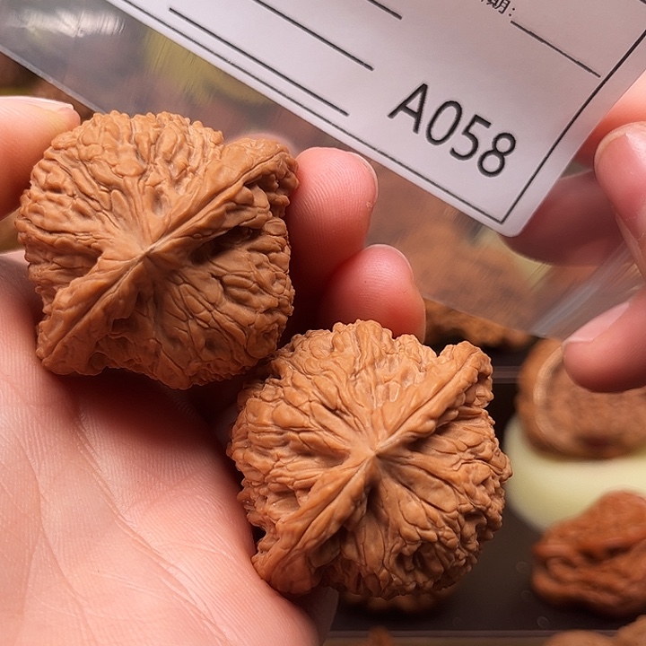 文玩核桃把件o x y wo ok m