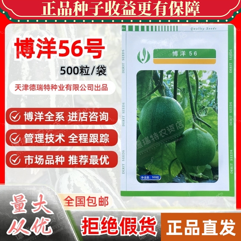 博洋56绿宝石甜瓜种子早熟薄皮香瓜四季种植天津德瑞特正品保真