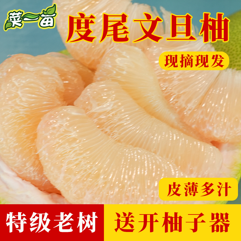 【菜一亩】福建仙游度尾老树红心文旦柚新鲜水果产地直发现摘礼盒装