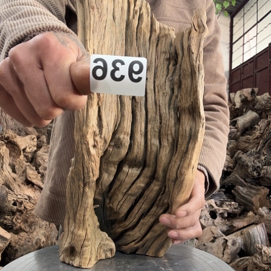 0**7紫砂噜啦啦啦啦啦啦