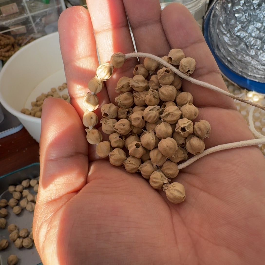 睡***时吊坠柏香籽/百香籽