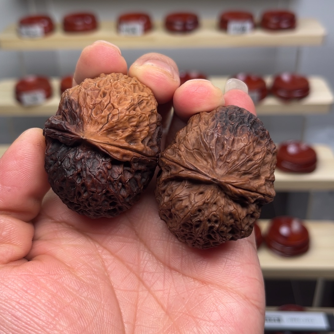 溜***呗核桃七彩元宝45尺