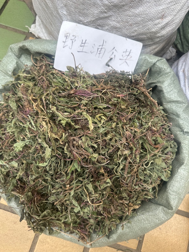 蒲公英 广西本地蒲公英全草500克一份