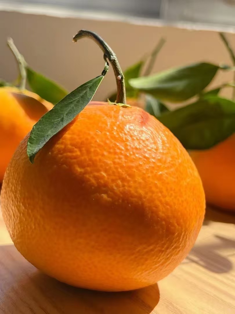 爱媛果冻橙纯甜爆汁