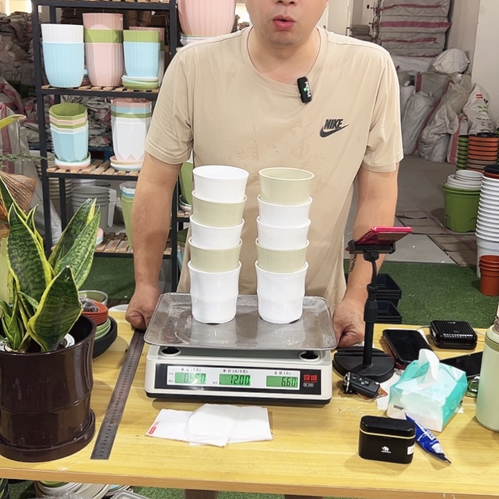 竹节口10高10混色10个无托