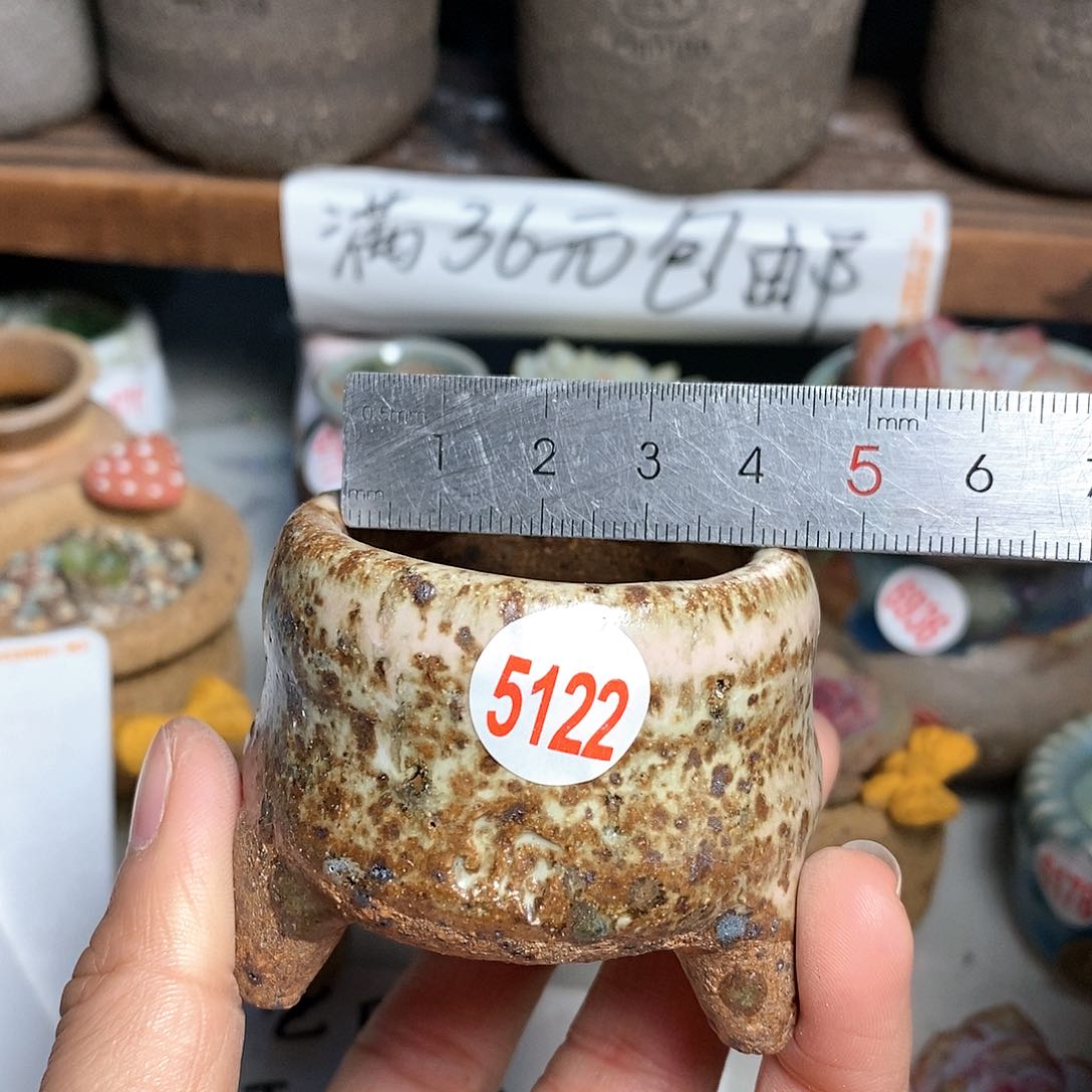 红陶拍5送一个小