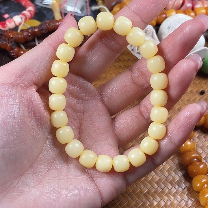 鹿骨其他驼骨驼骨驼骨89