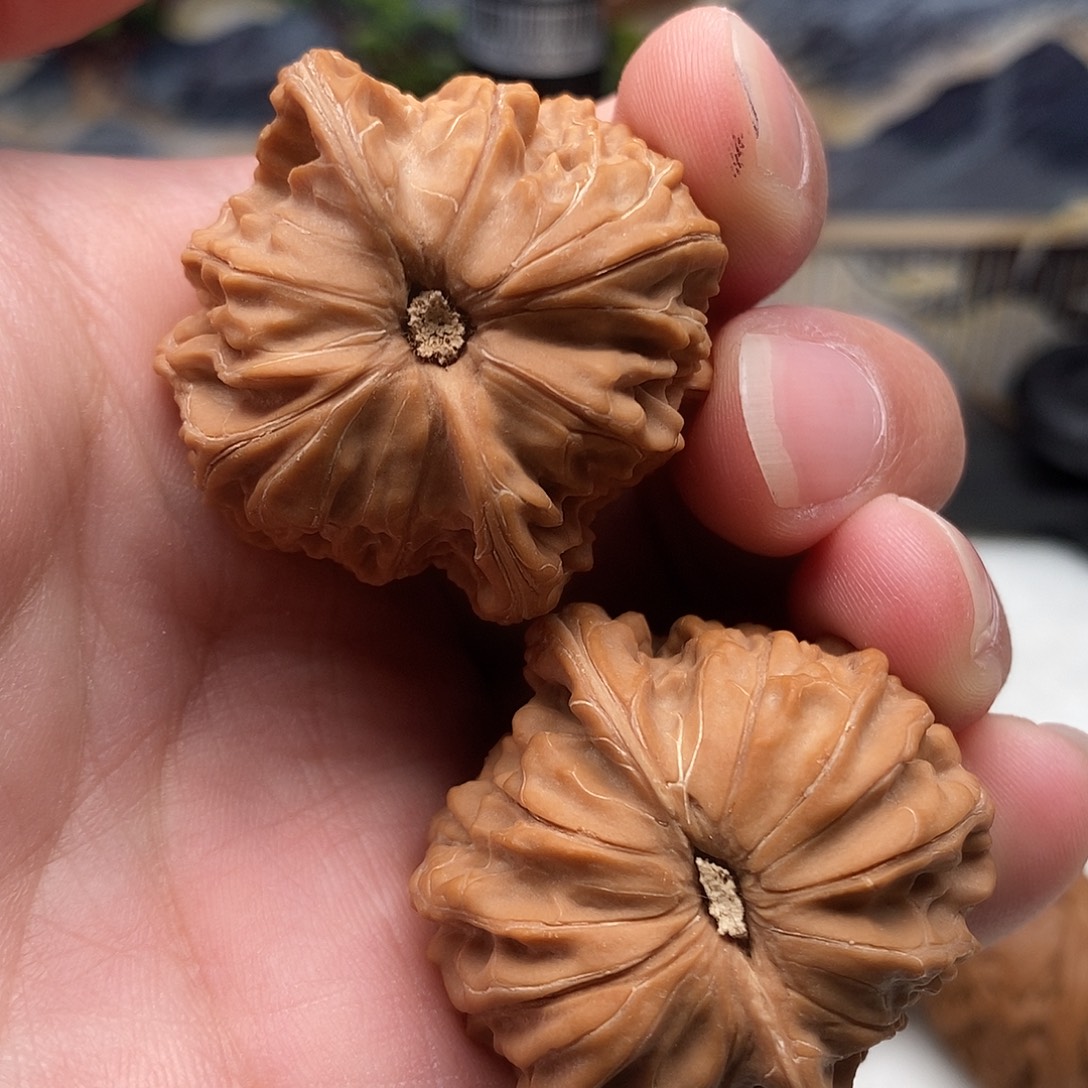 大****39尺寸磨盘文玩核桃