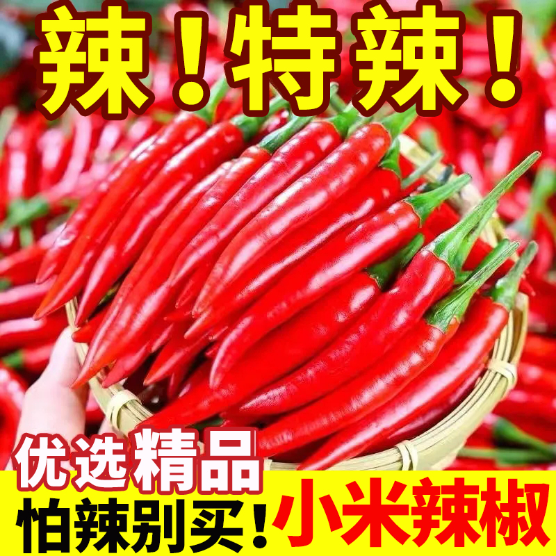 现摘小米辣鲜椒特辣新鲜魔鬼辣椒朝天椒整箱批发带箱重