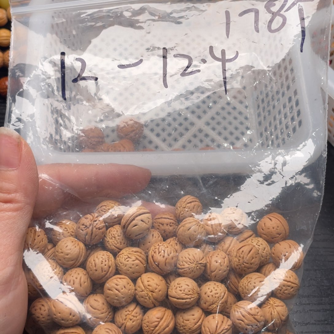 【闪购商品】老*油散子发货80米