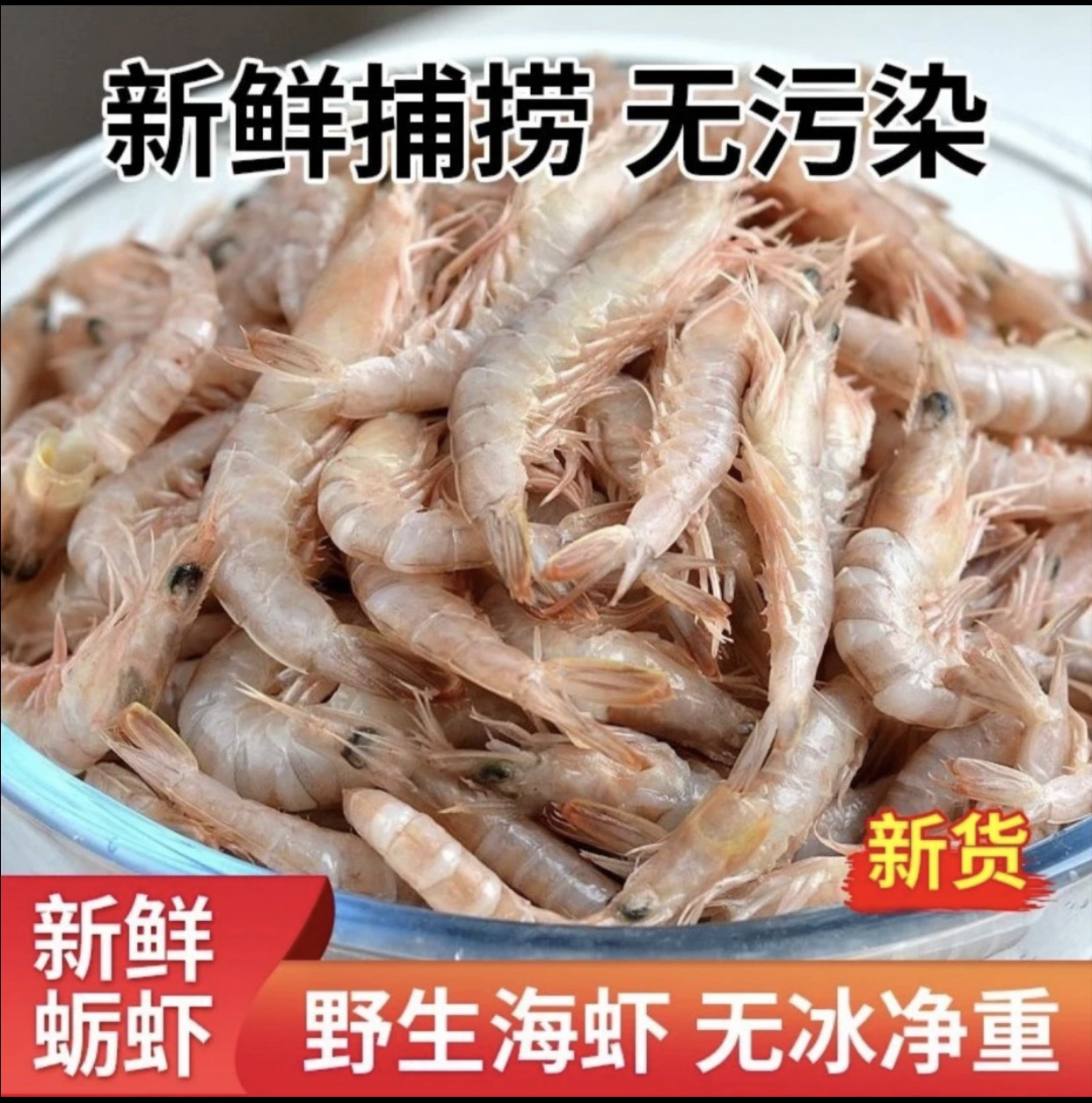 日照小船当潮新鲜海捕蛎虾，无添加，发货会有掉头和黑头现象