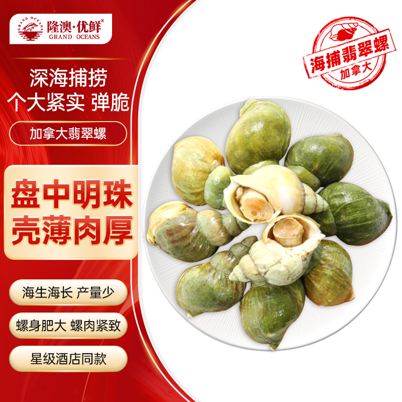 加拿大海捕翡翠螺500g 隆澳优鲜