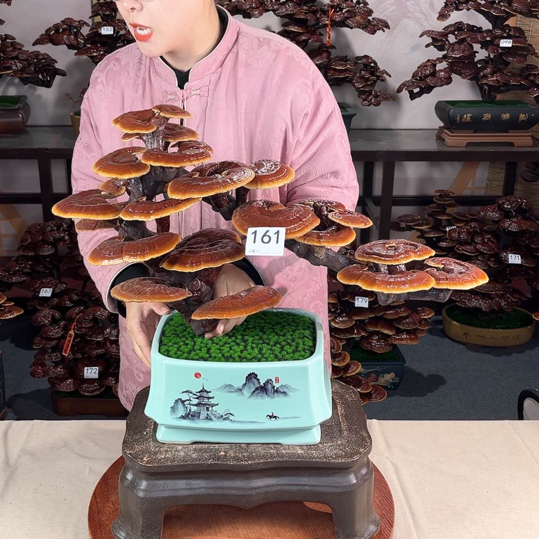 万事如意88888161