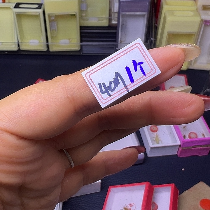 木***君哈哈哈哈哈哈哈哈哈哈哈哈哈