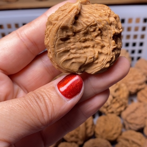 L***4文玩核桃把件核桃