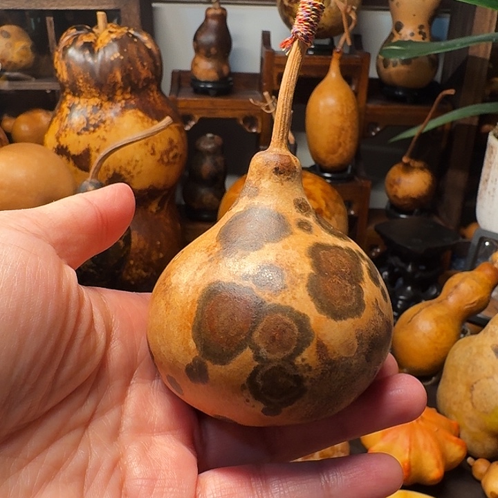 葫芦葫芦葫芦葫芦