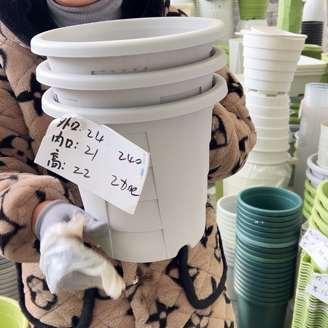 玫瑰240#灰白色5个无托