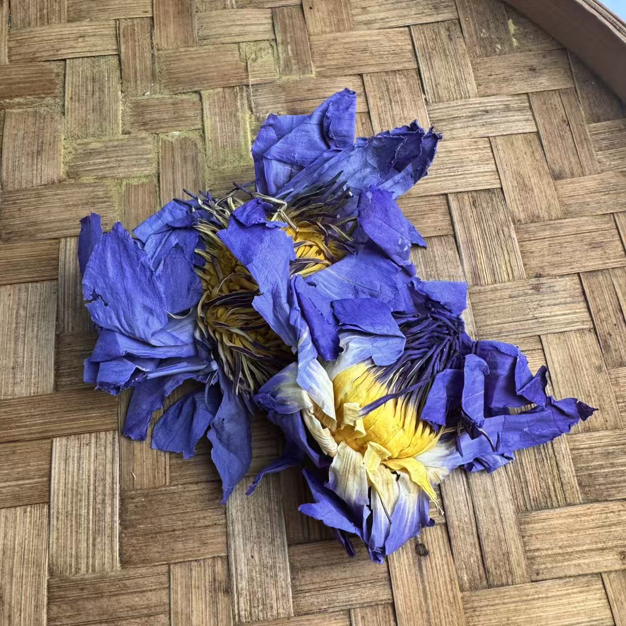 云南深山好物==九品紫莲