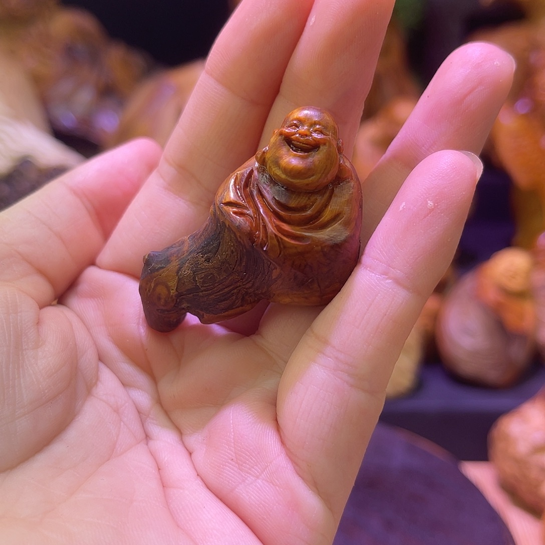 柏木888888888888888888