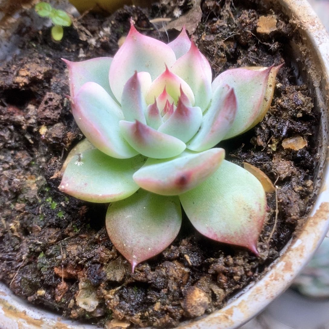 158锦锦锦锦锦锦锦