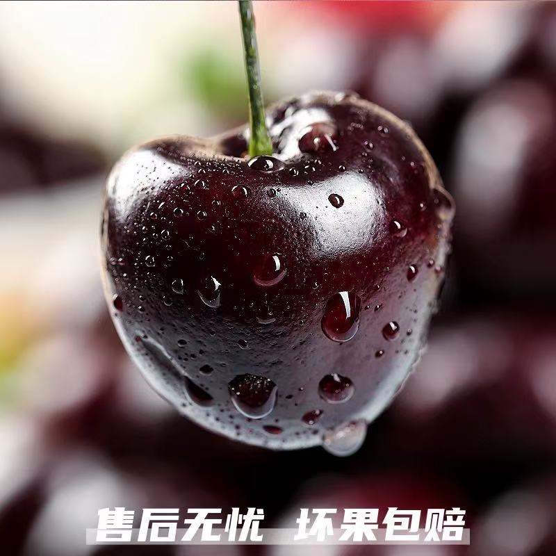 智利渣男拉宾斯车厘子JJ-4JJJJD 净重5斤原箱 送货上门 个别机械伤正常