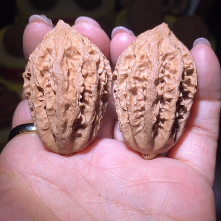 文玩核桃把件东北野生楸子小美4 3