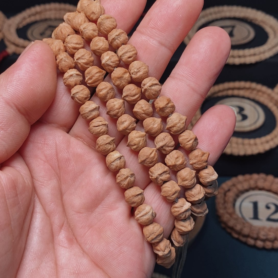 柏香籽/百香籽手串种****子