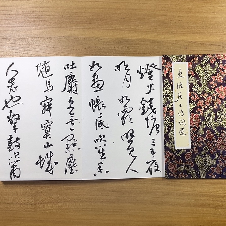 书法中书协会员作品