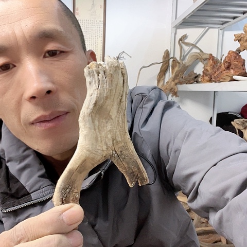 【闪购商品】柏木（崖柏）1122
