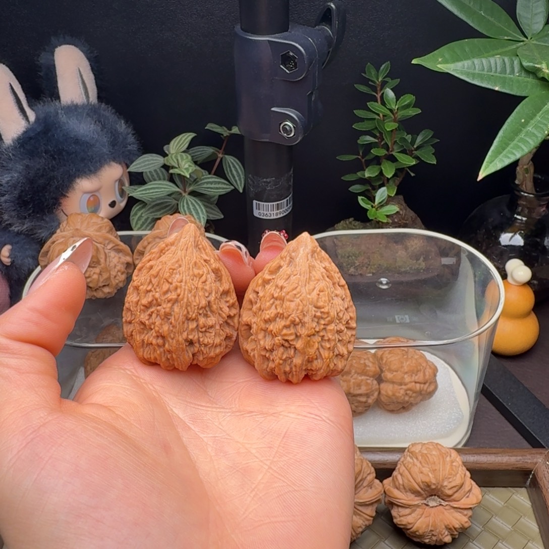 龙脊菩提把件全品塔尖33+