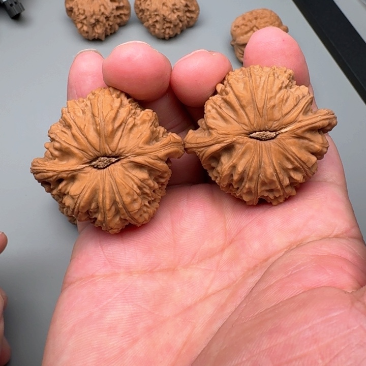 文玩核桃把件小*圆白狮子44