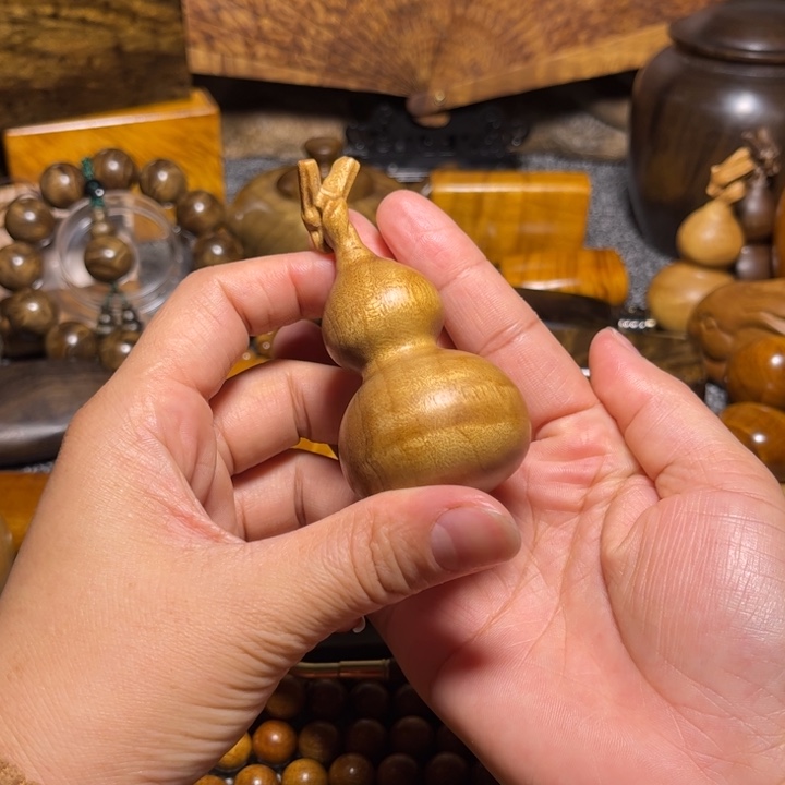 金丝楠葫芦小叶桢楠