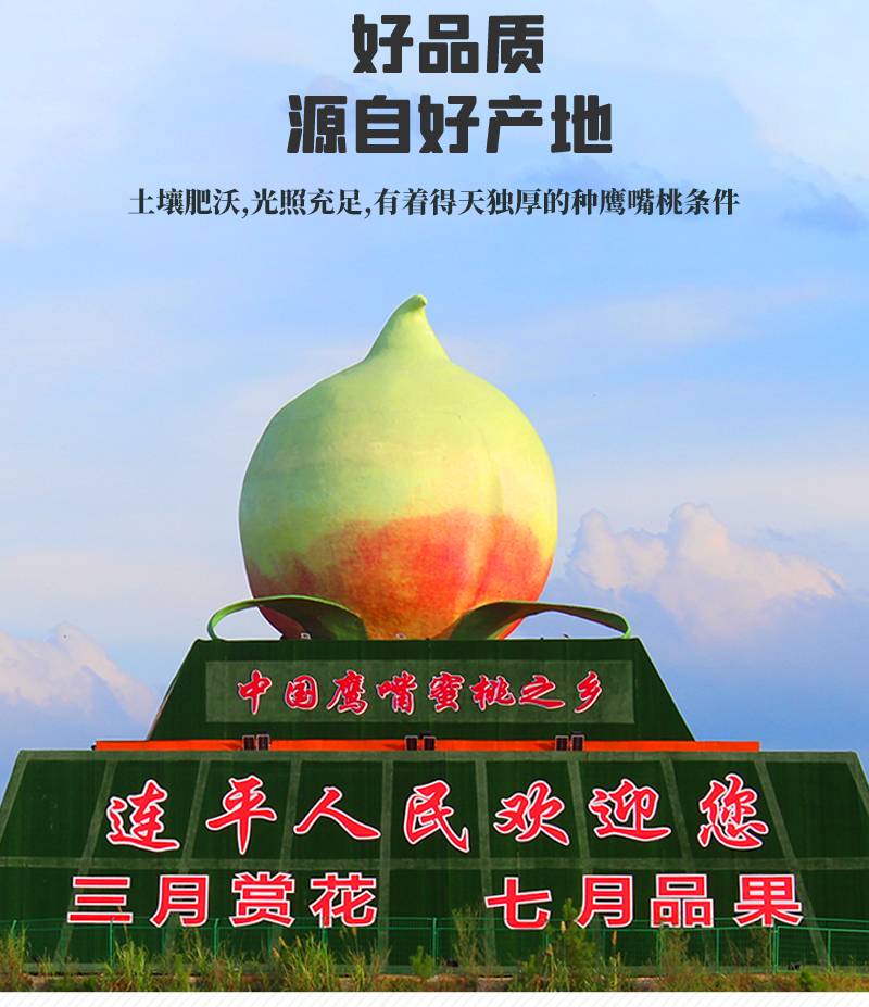 【中果】【顺丰发货】正宗广东连平上坪鹰嘴蜜桃新鲜现摘脆甜爽口水果