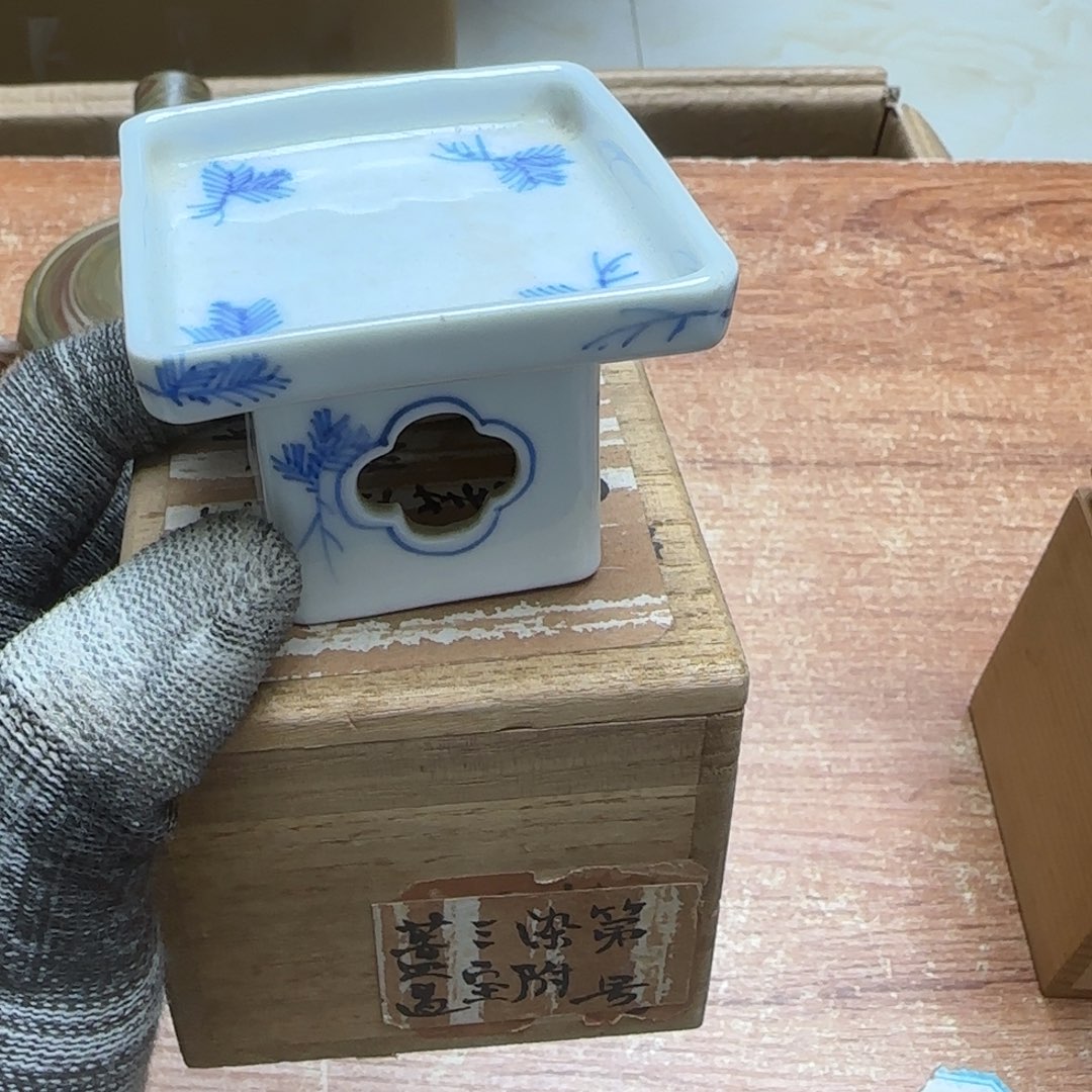 茶宠我们是不一样哦