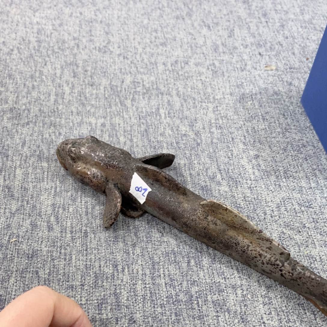 紫砂茶杯非常满意好看得物件