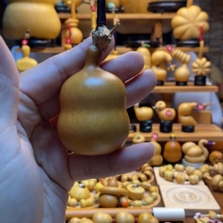 苗***子天然葫芦自然生长