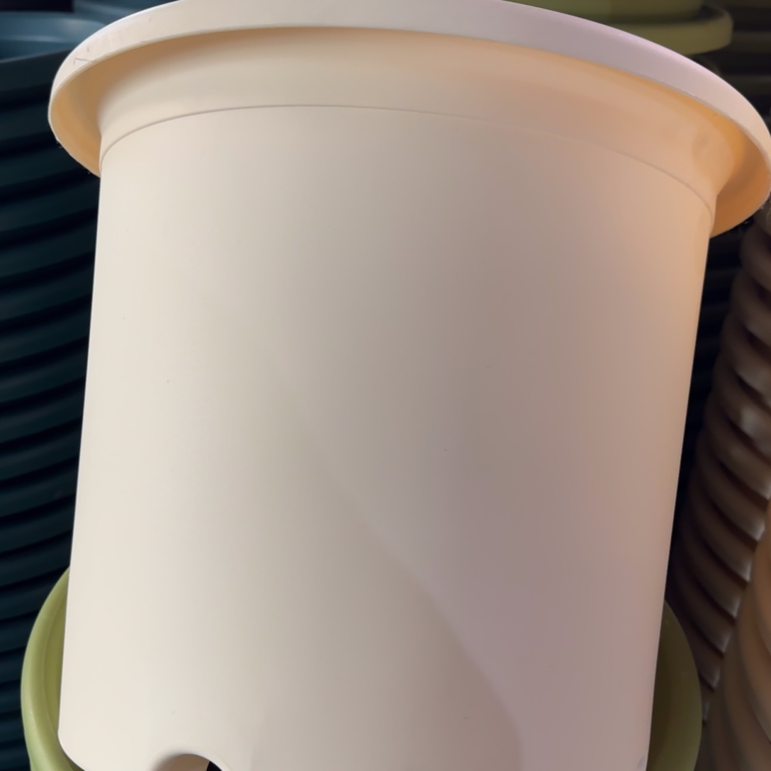 树脂四季6#带拖米黄7套