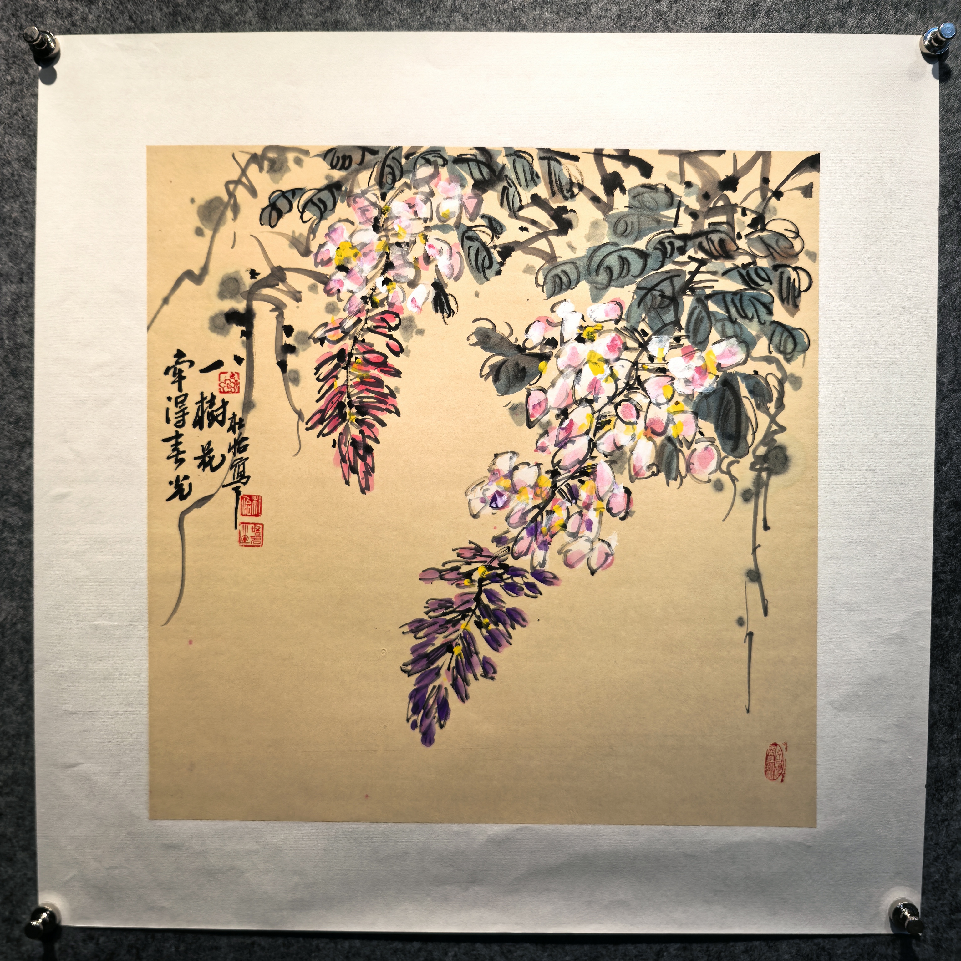 三尺斗方紫藤《两款》 柿子 暖秋尺寸50*50厘米