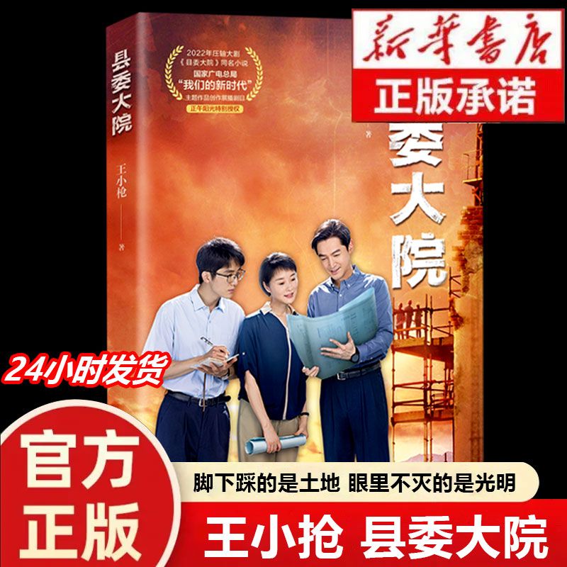 县委大院;电视剧《县委大院》同名小说;基层县治中的鲜活故事