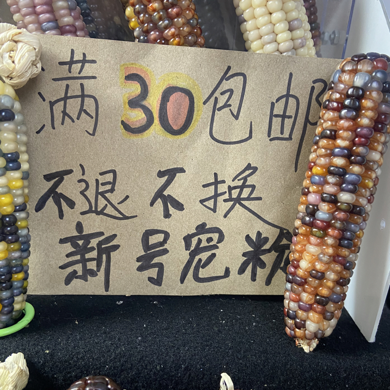 文玩玉米 一物一拍